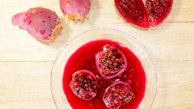 Purple Prickly Pear Preserve Photo By Thanasis Bounas Purple Prickly Pear Preserve Photo By Thanasis Bounas
