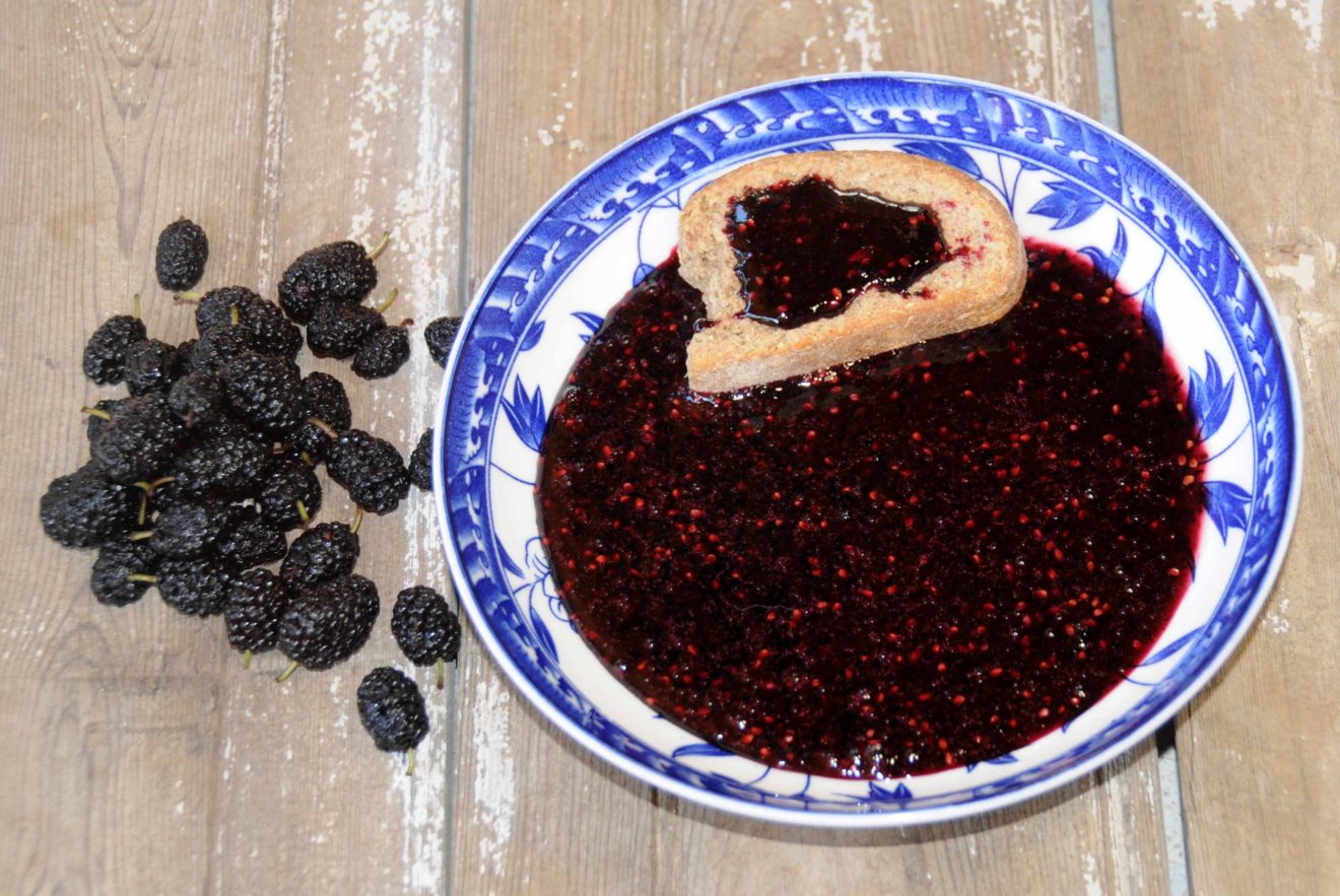 Black Mulberry Jam Photo By Thanasis Bounas
