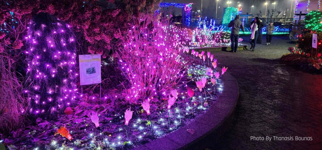 Beautiful Christmas at Lake Lafarge, British Columbia - Photo By Thanasis Bounas