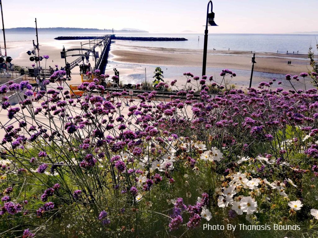 The history of White Rock, British Columbia - Photo By Thanasis Bounas