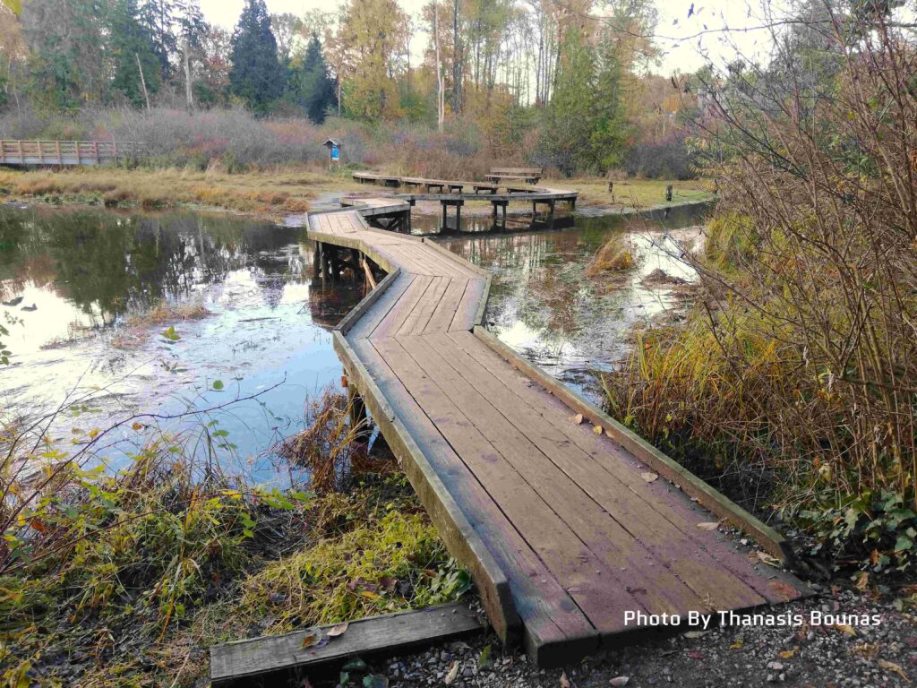 The Shoreline Trail in Port Moody, British Columbia - Photo By Thanasis Bounas