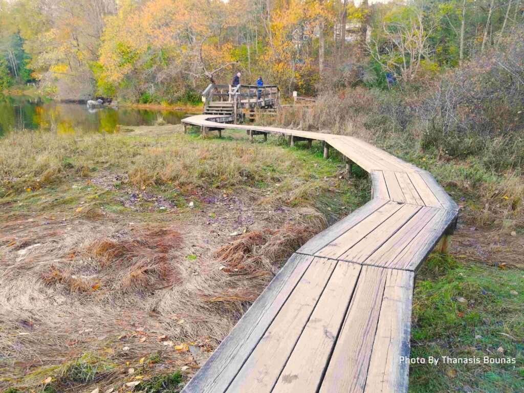 The Shoreline Trail in Port Moody, British Columbia - Photo By Thanasis Bounas