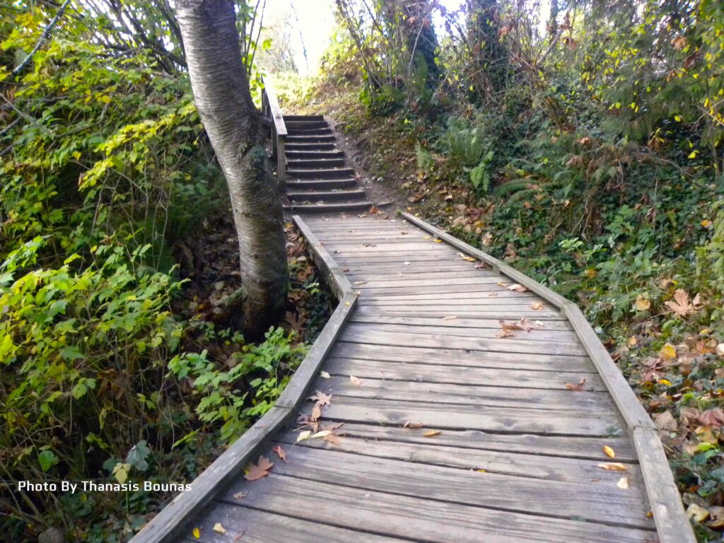 The history of Old Orchard Park Beach in Port Moody, British Columbia - Photo By Thanasis Bounas