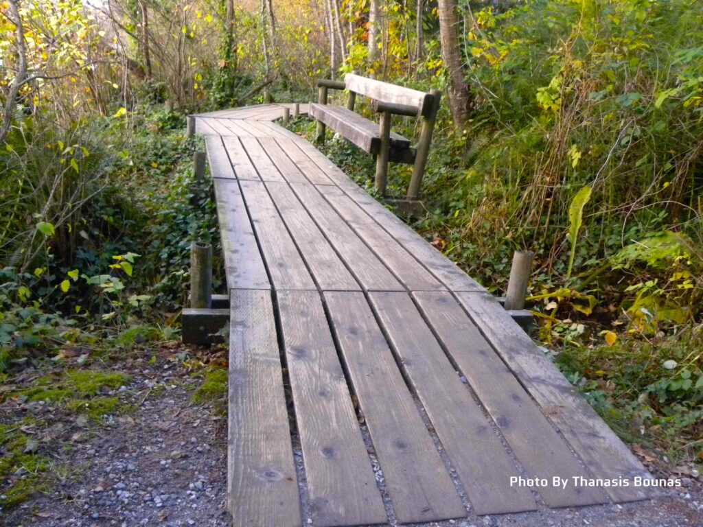 The history of Old Orchard Park Beach in Port Moody, British Columbia - Photo By Thanasis Bounas
