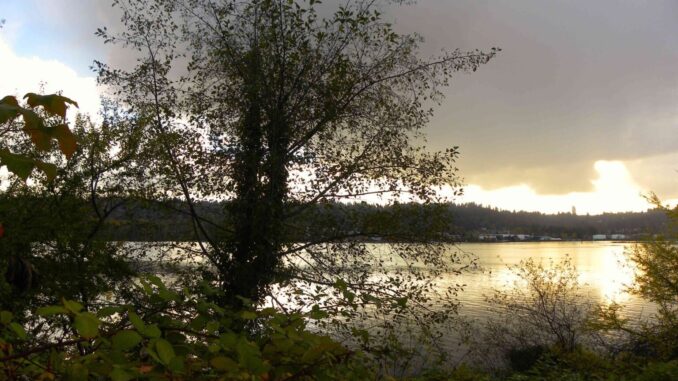 The history of Old Orchard Park Beach in Port Moody, British Columbia – Photo By Thanasis Bounas