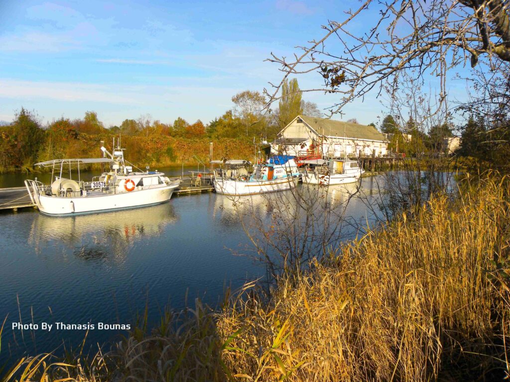 The history of Scotch Pond in Richmond, British Columbia - Photo By Thanasis Bounas