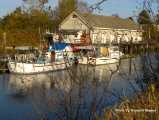 The history of Scotch Pond in Richmond, British Columbia - Photo By Thanasis Bounas