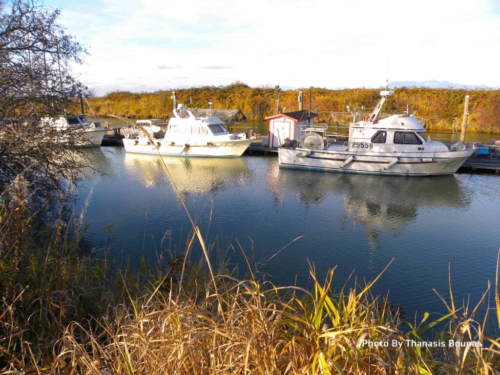 The history of Scotch Pond in Richmond, British Columbia - Photo By Thanasis Bounas